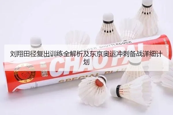 刘翔田径复出训练全解析及东京奥运冲刺备战详细计划